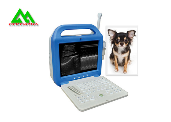 China El escáner veterinario lleno portátil del ultrasonido de Digitaces para el ganado grazna animal del perro proveedor